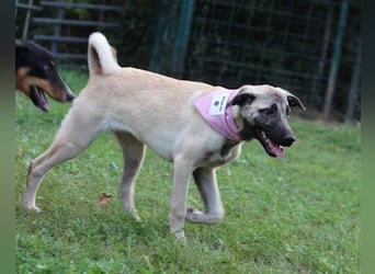 Maya ❤️ aktive, so liebe HSH-Mix Dame
