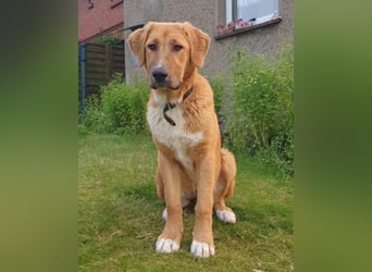 HSH-Mix-JungLady ♥ Suvi ♥ 63911 Klingenberg/Main