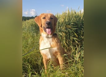 HSH-Mix-Lady ♥Suvi♥ wartet bereits in 63911 Klingenberg/Main