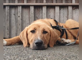 HSH-Mix-JungLady ♥ Suvi ♥ 63911 Klingenberg/Main