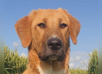 HSH-Mix-JungLady ♥ Suvi ♥ 63911 Klingenberg/Main