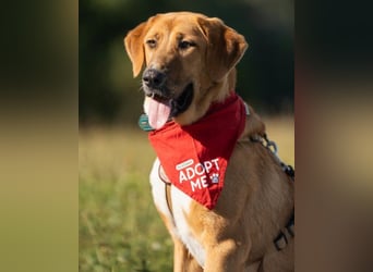 HSH-Mix-Lady ♥Suvi♥ wartet bereits in 63911 Klingenberg/Main