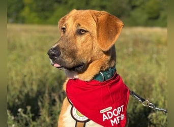 HSH-Mix-JungLady ♥ Suvi ♥ 63911 Klingenberg/Main