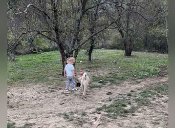 Maya ❤️ aktive, so liebe HSH-Mix Dame