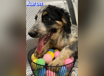Aaron, 03/26 - möchte dein Leben bunter machen!