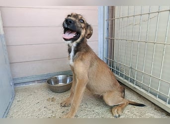 Esme (LR) absolut draumhaftes kleines Mädchen