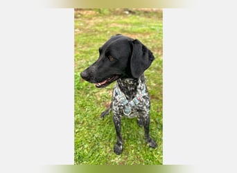 Mika (LR) tolle, verschmuste Fellnase