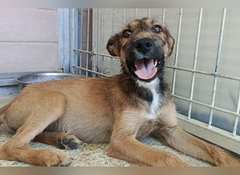 Esme (LR) absolut draumhaftes kleines Mädchen