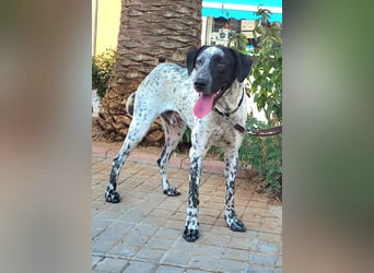 Kapitan(PA) ein junger sehr sozialer und freundlicher Bube