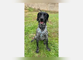 Mika (LR) tolle, verschmuste Fellnase
