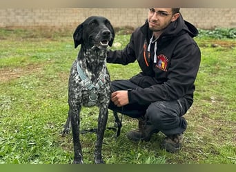 Mika (LR) tolle, verschmuste Fellnase