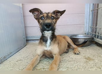 Esme (LR) absolut draumhaftes kleines Mädchen