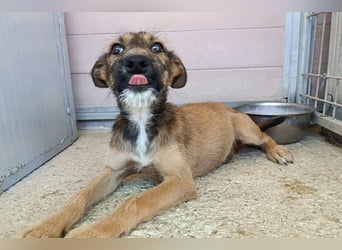 Esme (LR) absolut draumhaftes kleines Mädchen