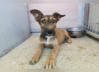 Esme (LR) absolut draumhaftes kleines Mädchen