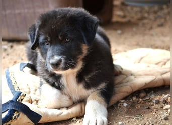 Troufa - wer entdeckt die Welt mit mir?