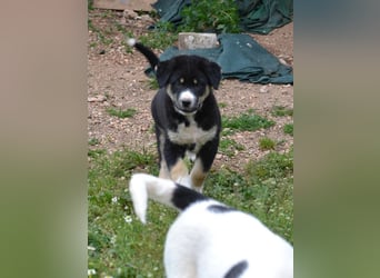 Lucky Luke - wo mag mein Weg mich hinführen? Zu Dir?