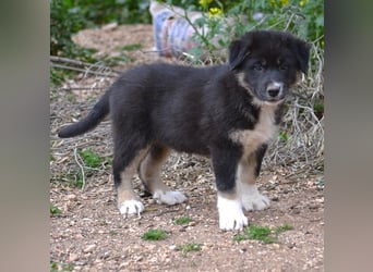 Troufa - wer entdeckt die Welt mit mir?