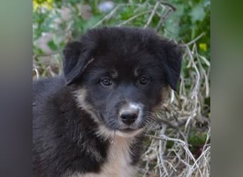 Troufa - wer entdeckt die Welt mit mir?