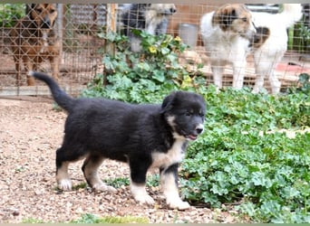 Troufa - wer entdeckt die Welt mit mir?