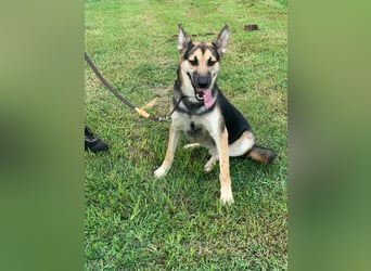 Max sucht ein zu Hause