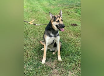 Max sucht ein zu Hause