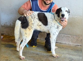 Arleene - ist voll bedingungsloser Liebe