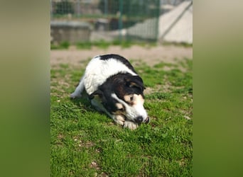 Giangy - Lebens- und Liebesverlängernde Maßnahmen