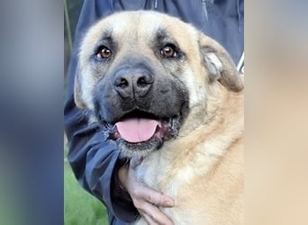 Joonas - wohin führt sein Weg?