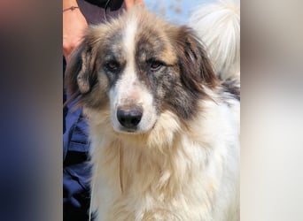 Poncio - wird zum Musterschüler