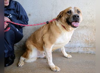 Savery - Drei Leben. Drei Chancen.