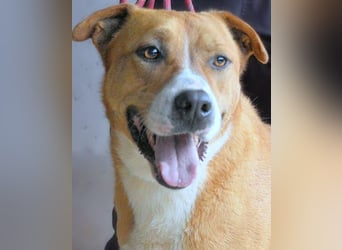 Spielberg - Der Dreh seines Lebens