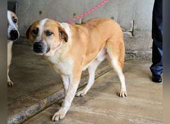 Savery - Drei Leben. Drei Chancen.