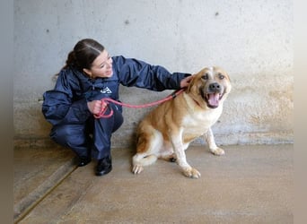 Savery - Drei Leben. Drei Chancen.