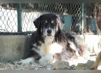 Kuno - Ein Ende in Sicht?