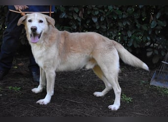 Islay - Menschenherzen-im-Sturm-Eroberer
