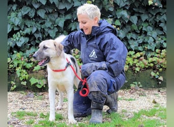 Skitter - Im gedimmten Licht, vor einer geschlossenen Tür