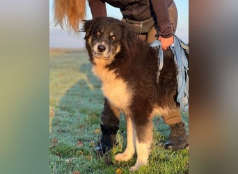 Kuno - Ein Ende in Sicht?