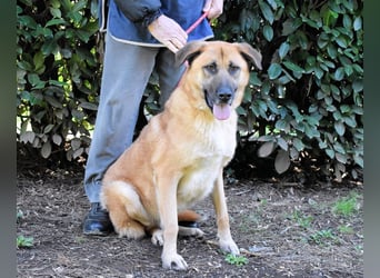 Anthaniel - Groß genug für "Wow" - zu charmant für "Weiter".