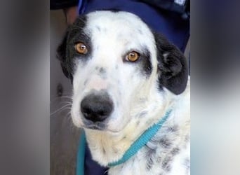 Arleene - ist voll bedingungsloser Liebe