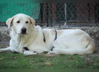 Clara - geht ihren Weg weiter