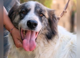 Poncio - wird zum Musterschüler