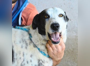 Arleene - ist voll bedingungsloser Liebe