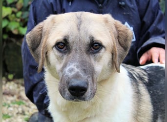 Skitter - Im gedimmten Licht, vor einer geschlossenen Tür