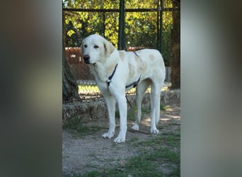 Clara - geht ihren Weg weiter