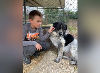 Ray - Zeig mir die Welt außerhalb des Zwingers...