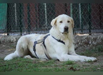 Clara - geht ihren Weg weiter