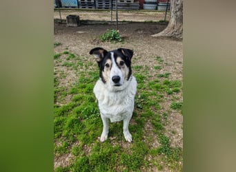 Giangy - Lebens- und Liebesverlängernde Maßnahmen