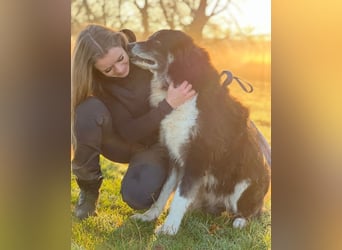 Kuno - Ein Ende in Sicht?