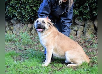 Joonas - wohin führt sein Weg?