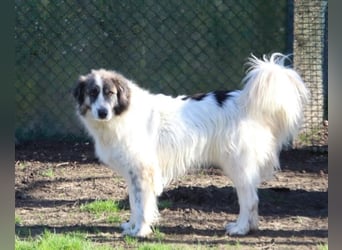 Poncio - wird zum Musterschüler